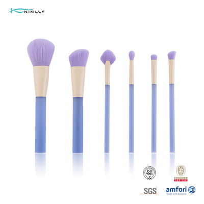 Easy To Clean 6pcs Makeup Brush Cosmetic Set With Synthetic Hair Clear Plastic Handle